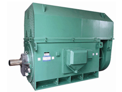 YKS6301-10/1000KWY系列6KV高压电机